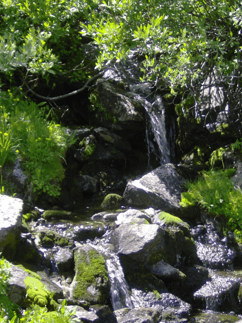 Idaho stream image