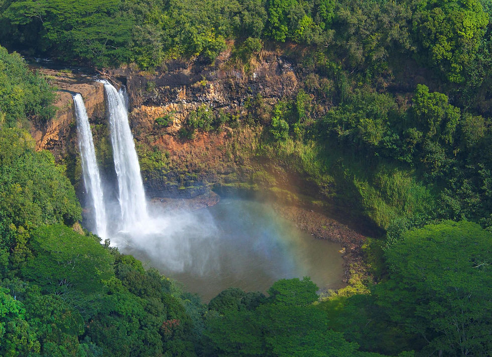 Aloha Kaua'i!