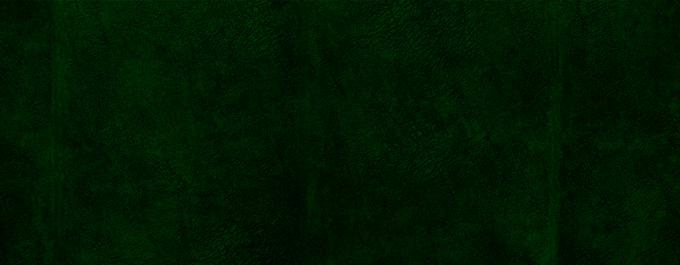 GREEN FELT BACKGROUND copy.png
