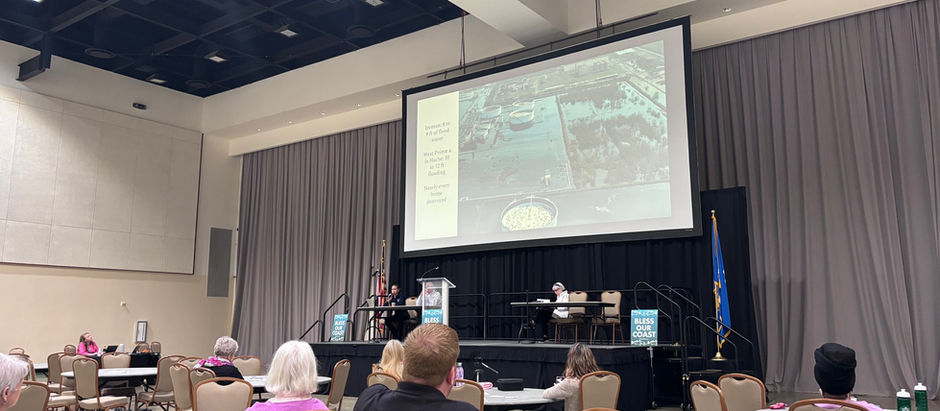 Bridging the Green Gap: A Pursuit of Environmental Justice through Legislative Advocacy
