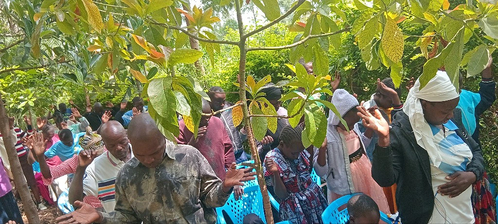 People with raised hands gathered outdoors among green trees, expressing a prayerful or peaceful mood. Blue chairs in the background.