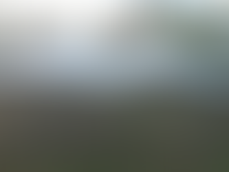 🚧 Critical Funding Needed: Help Finish Shelter #6 in Kenya!