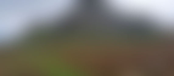 Park Narodowy DARTMOORE