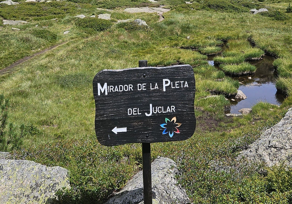 Po drodze można zatrzymać się przy punkcie widokowym