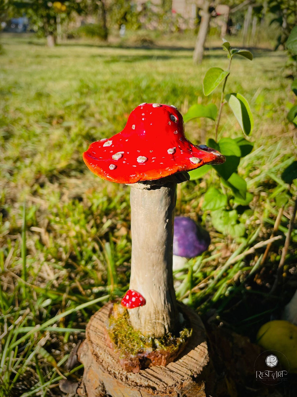 Miniatură: Ciupercuța roșie