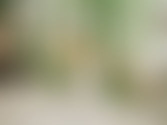 Sample Post