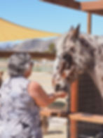 woman hand feeding appaloosa horse