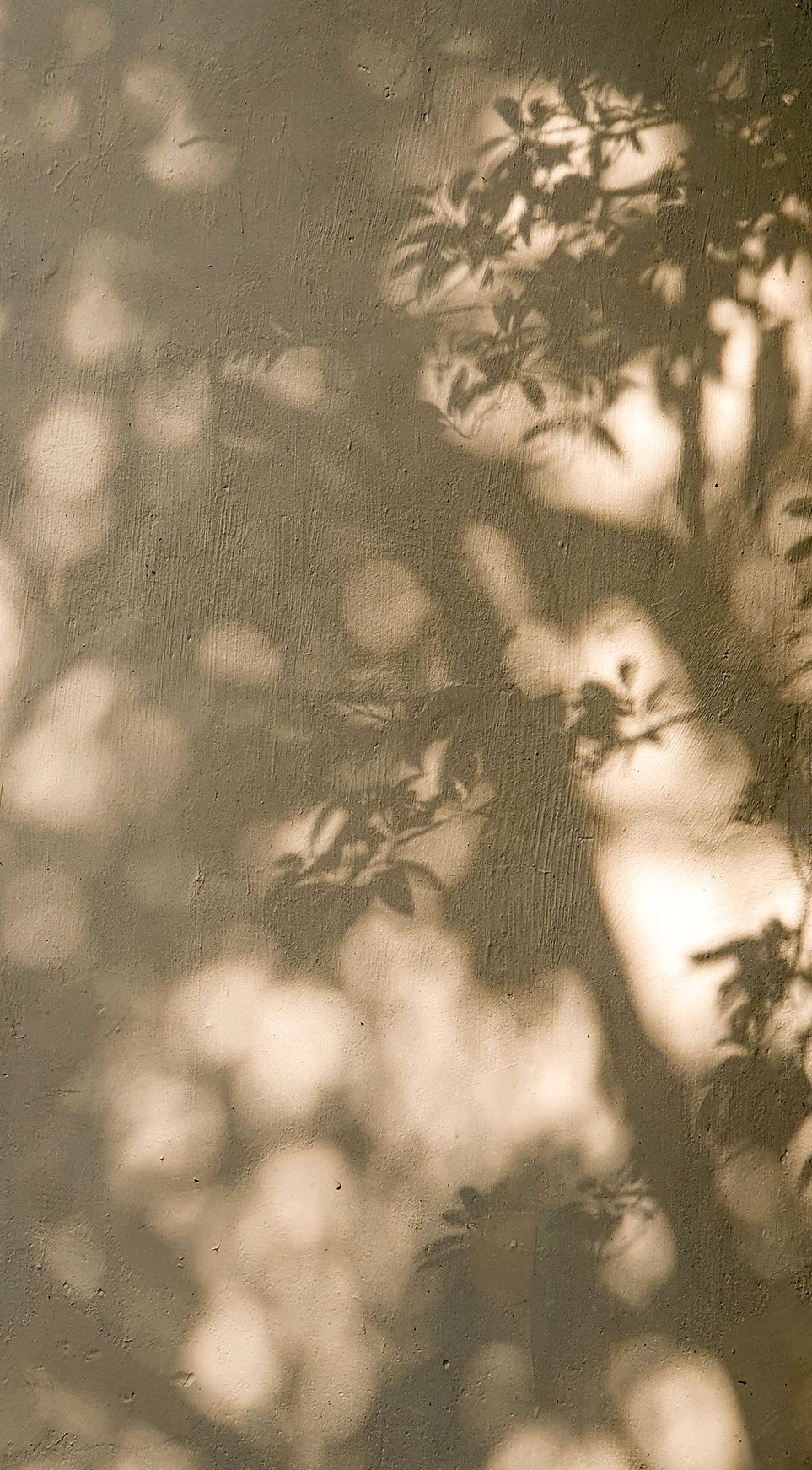 pexels-animesh-srivastava-3019173-8207692.jpg