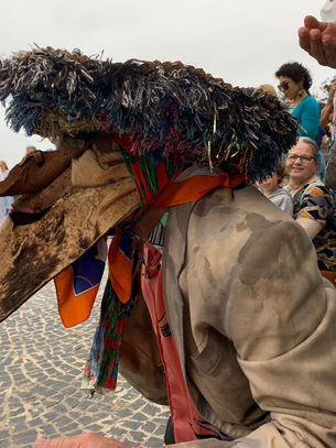 Cavalo Marinho e a Sambada de Reis