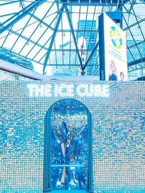 The Ice Cube- Greenwood Plaza
