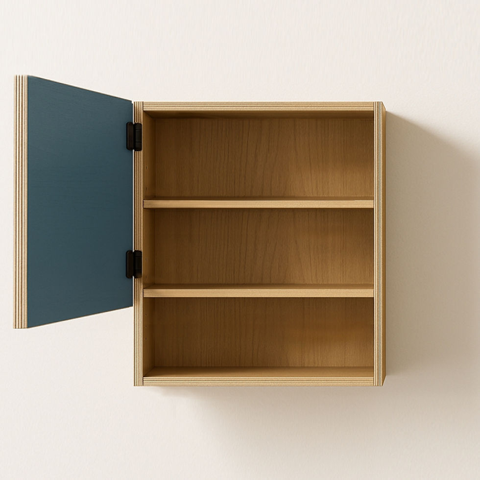 Thumbnail: Stanley Single Wall Cabinet