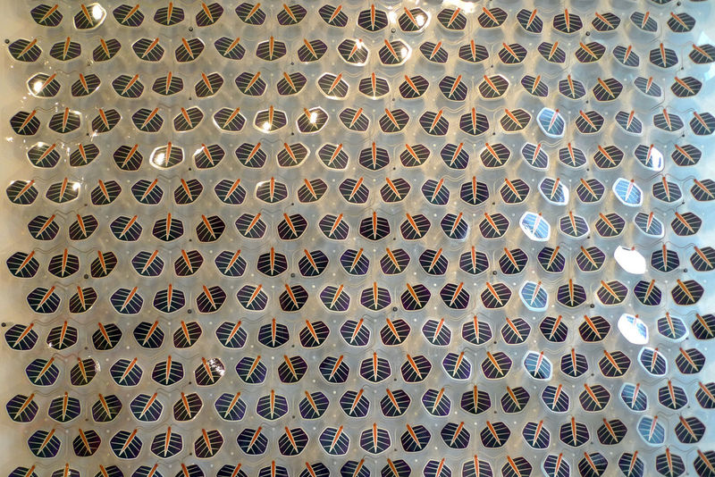 Solar Ivy