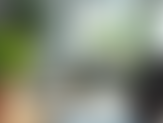 Sustainable Growth Strategies for U.S. Businesses