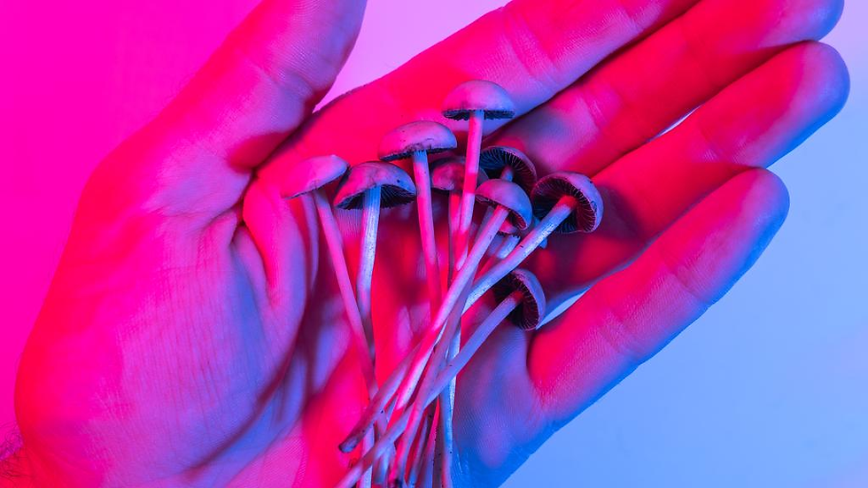 Rare ‘extreme’ headaches target of magic mushroom trial - Our interview with "The Australian"