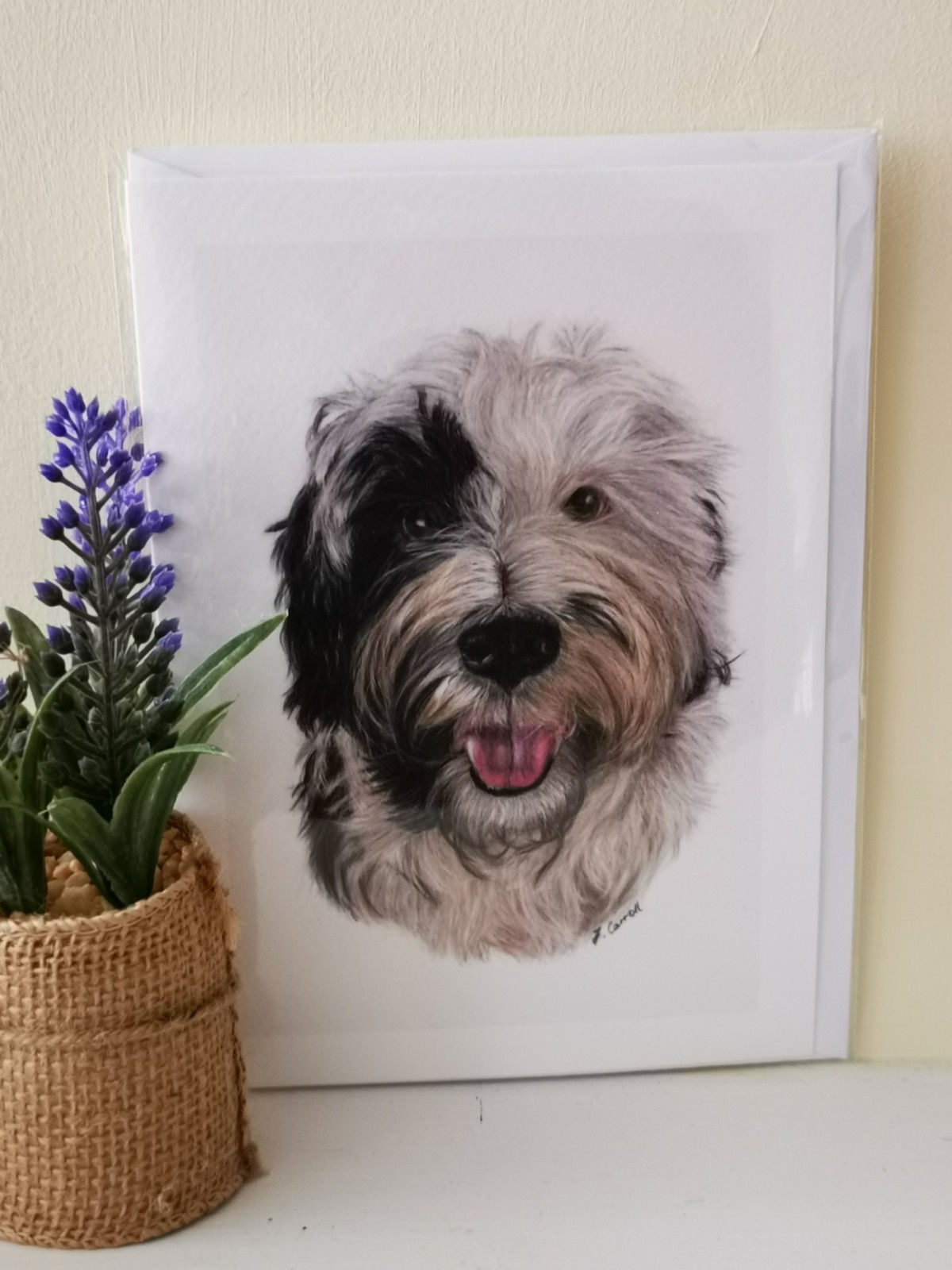 SHEEPDOG - SINGLE CARD