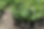 Untitled design (5).png