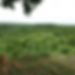 Untitled design (4).png