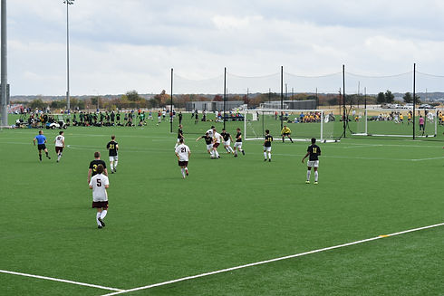 DSC_0914.JPG.jpg