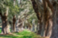 AdobeStock_54609355.jpeg