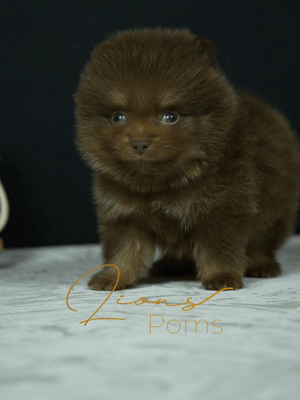 MY27M GIF PARA WEB.gif