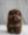 pomerania CHOCOLATE AND TAN MAR30M | lionspoms.com