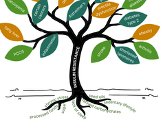 Insulin Resistance - The Tree Of Disease
