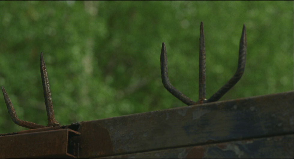 Bráška: Rusted trident like spikes on a fence surrounded by green