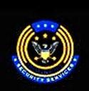 aleem logo
