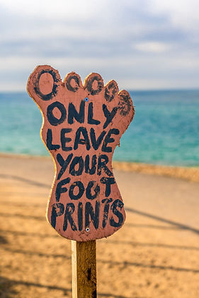 Clean Beach_edited.jpg