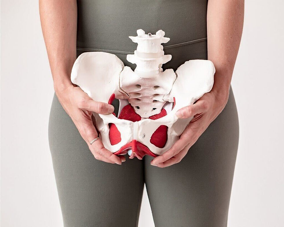 The Pelvis Party