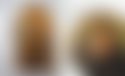 Stumbling Into the Caldecott. Brian Lies on learning to be creative.