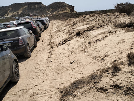 Continúa la destrucción del hábitat de interés prioritario protegido en el entorno de la playa de la Carolina de Águilas.