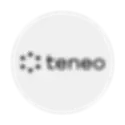 Teneo Logo Portfolio.webp