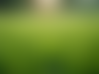 How to Choose the Right Turf for Your Landscape