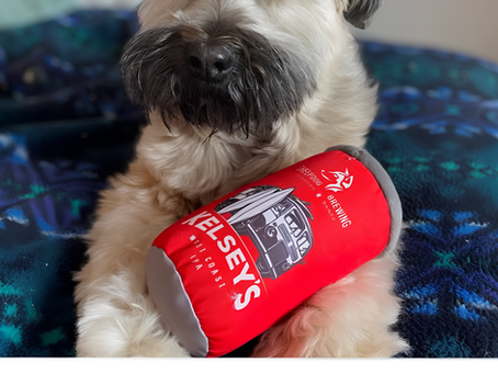 Meet Pickles - Banff Taproom Regular
