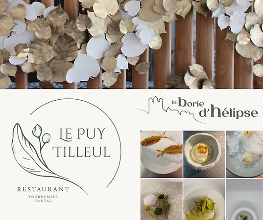 Restaurant Le Puy Tilleul - Hôtel-Spa La Borie d'Hélip se -Tournemire Cantal.png