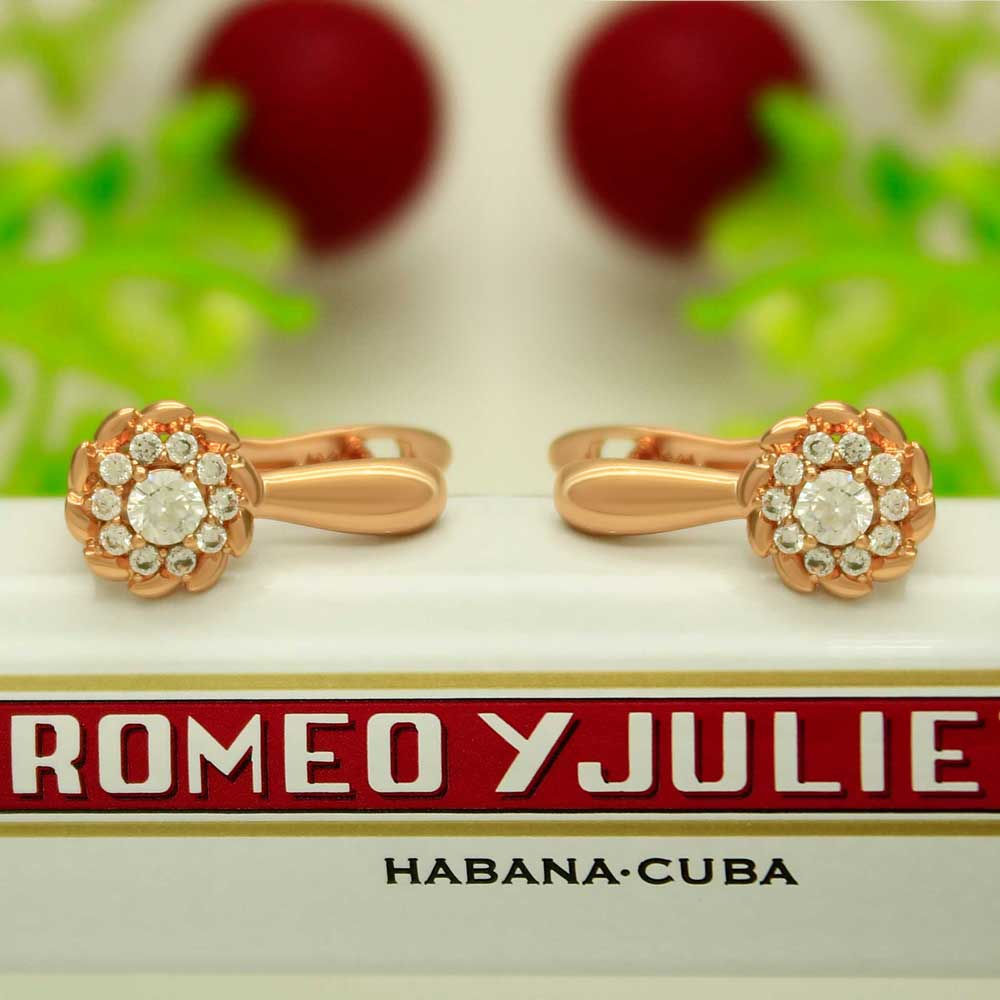 Серьги EX1630a