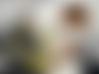 How Professional Commercial Cleaning Helps Prevent Pest Problems in Florida Businesses