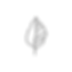 IMG_9056.PNG