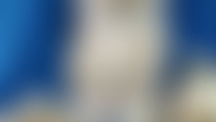 Свежие фото котят!