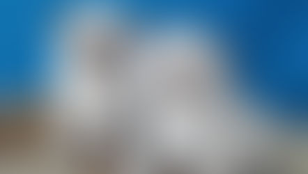 Котята. Первые их фото