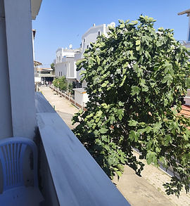 WhatsApp Image 2026-06-29 at 10.57.58.jpeg