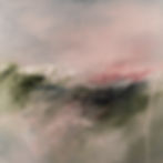 Forest Mist