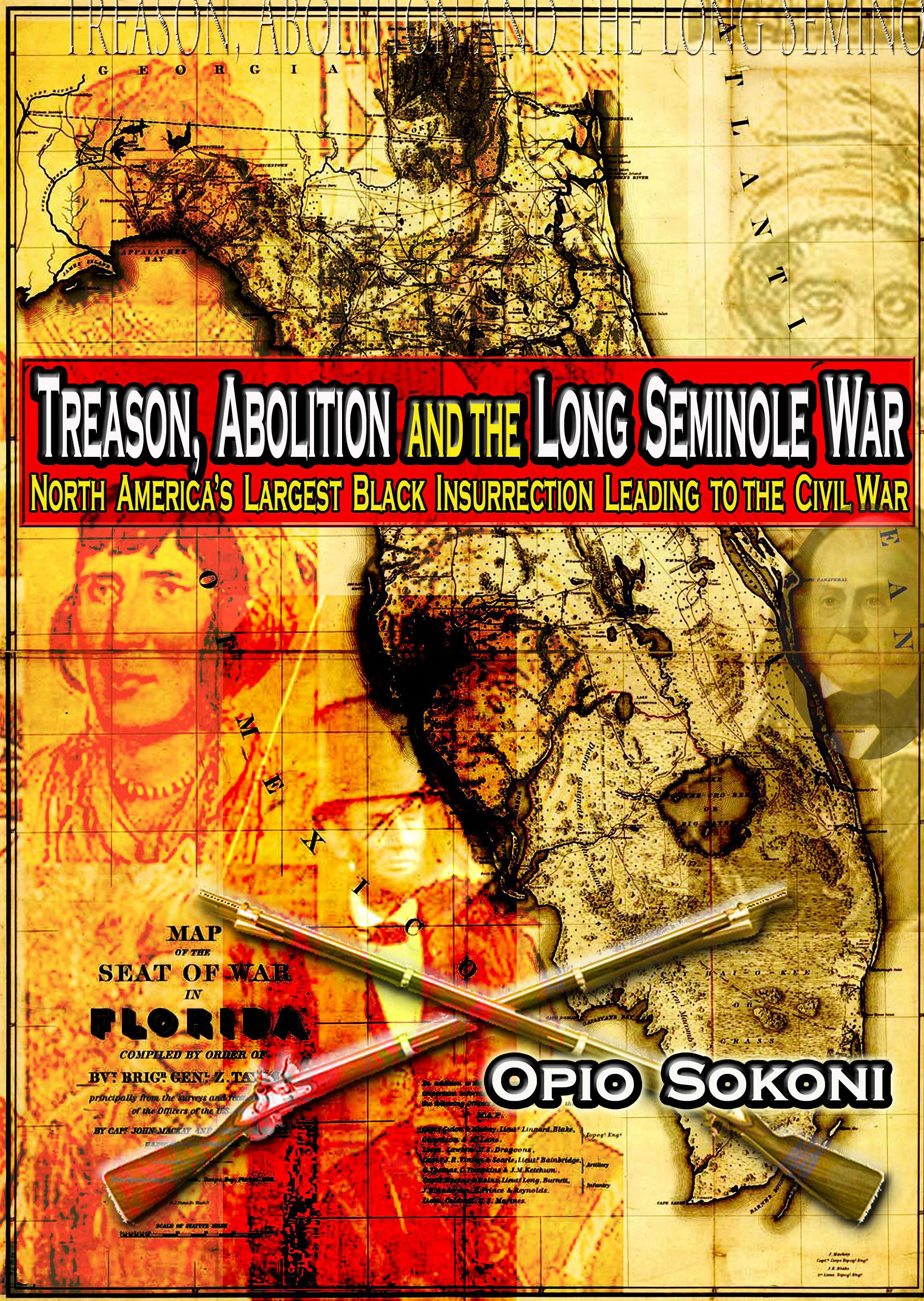 E-Book: Treason, Abolition and the Long Seminole War