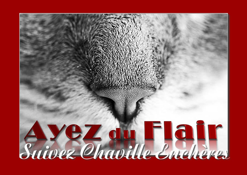 CHAVILLE ENCHERES
