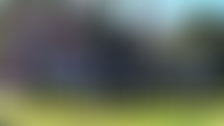 
¡AQUÍ NO SE DISCRIMINA! Noticias desde el Grupo de jóvenes del ProITP