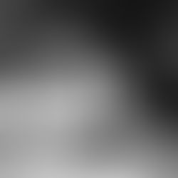 The Haunting Case of Ronnie DeFeo