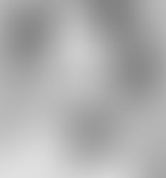 Missing Housewife Joan Risch