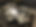 IMG_0999.jpeg