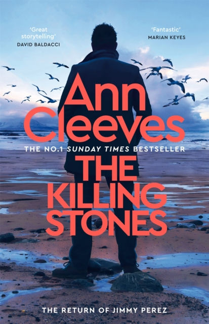 ANN CLEEVES - The Killing Stones
